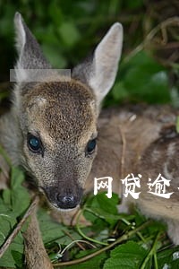 网贷逾期成坏账没还会怎么样 网贷逾期成坏账没还会怎么样