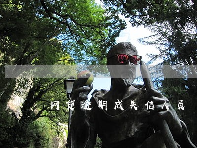 网贷逾期成失信人员 网贷逾期成失信人员