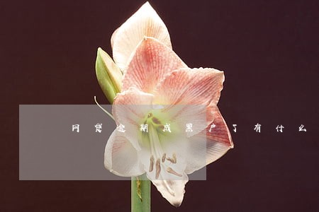 网贷逾期成黑户了有什么问题 网贷逾期成黑户了有什么问题