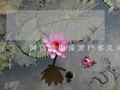 网贷逾期成黑户多久可以解除 网贷逾期成黑户多久可以解除