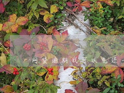 网贷逾期我可以先还一点吗 网贷逾期我可以先还一点吗