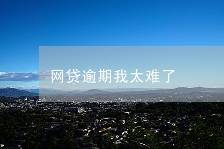 网贷逾期我太难了