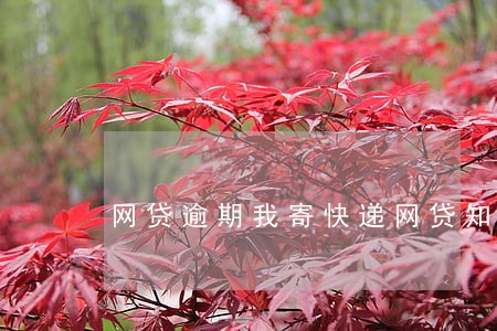 网贷逾期我寄快递网贷知道吗 网贷逾期我寄快递网贷知道吗