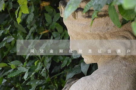 网贷逾期我就是征信黑户了吗 网贷逾期我就是征信黑户了吗