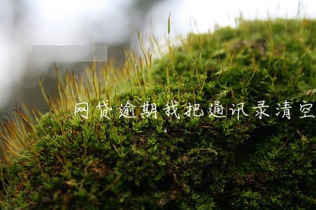 网贷逾期我把通讯录清空 网贷逾期我把通讯录清空