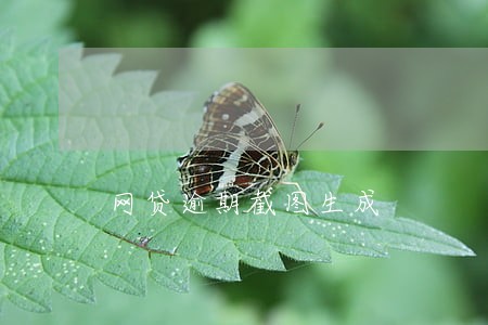 网贷逾期截图生成 网贷逾期截图生成