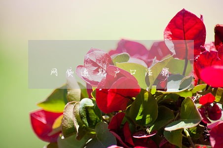 网贷逾期户口注销 网贷逾期户口注销