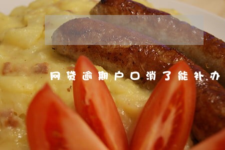 网贷逾期户口消了能补办吗 网贷逾期户口消了能补办吗