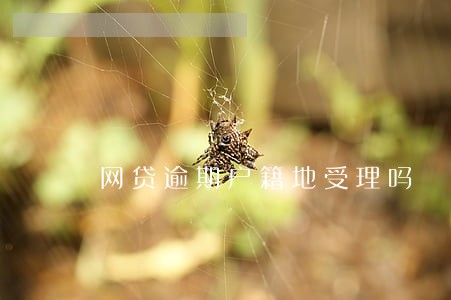 网贷逾期户籍地受理吗 网贷逾期户籍地受理吗