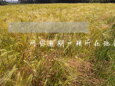 网贷逾期户籍所在地会打电话吗 网贷逾期户籍所在地会打电话吗