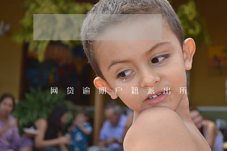 网贷逾期户籍派出所 网贷逾期户籍派出所