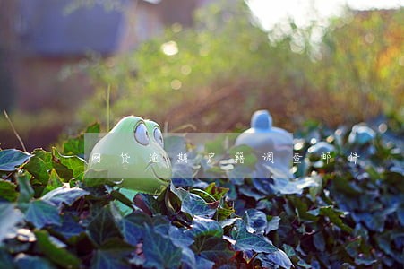 网贷逾期户籍调查邮件 网贷逾期户籍调查邮件