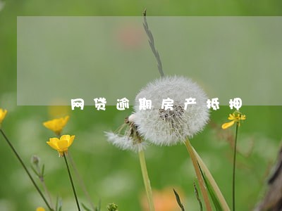 网贷逾期房产抵押 网贷逾期房产抵押