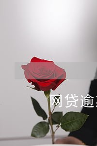 网贷逾期房子 网贷逾期房子