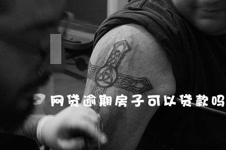 网贷逾期房子可以贷款吗 网贷逾期房子可以贷款吗