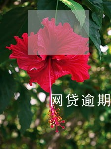 网贷逾期房子能过户吗 网贷逾期房子能过户吗