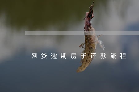 网贷逾期房子还款流程 网贷逾期房子还款流程