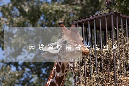 网贷逾期房贷会收回吗 网贷逾期房贷会收回吗