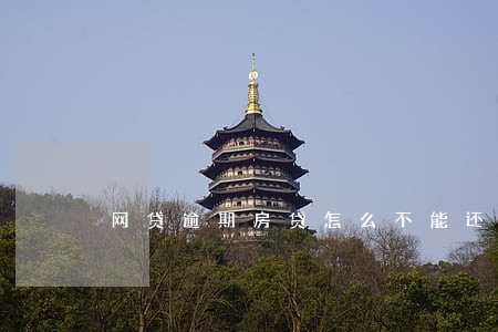 网贷逾期房贷怎么不能还呢 网贷逾期房贷怎么不能还呢