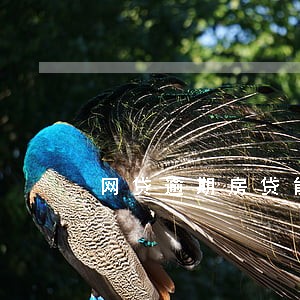 网贷逾期房贷能申请下来吗 网贷逾期房贷能申请下来吗