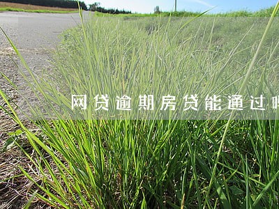 网贷逾期房贷能通过吗 网贷逾期房贷能通过吗
