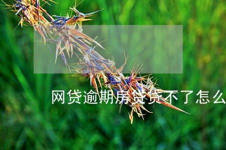 网贷逾期房贷贷不了怎么办 网贷逾期房贷贷不了怎么办