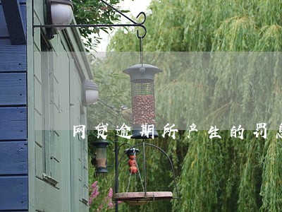 网贷逾期所产生的罚息用不用还 网贷逾期所产生的罚息用不用还