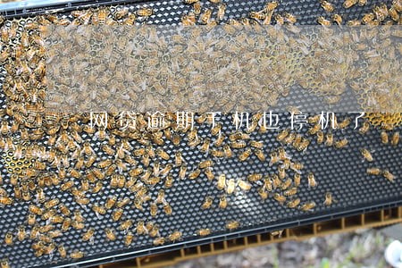 网贷逾期手机也停机了 网贷逾期手机也停机了