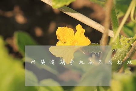 网贷逾期手机会不会被攻击 网贷逾期手机会不会被攻击