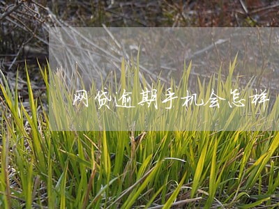 网贷逾期手机会怎样 网贷逾期手机会怎样