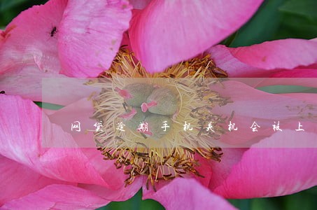 网贷逾期手机关机会被上门吗 网贷逾期手机关机会被上门吗