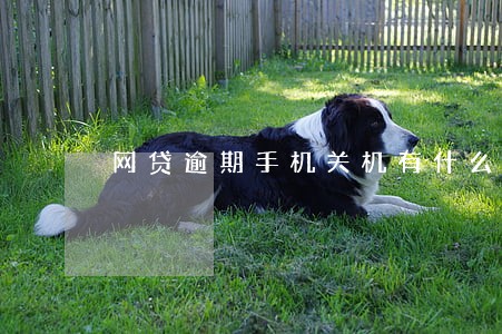 网贷逾期手机关机有什么影响 网贷逾期手机关机有什么影响