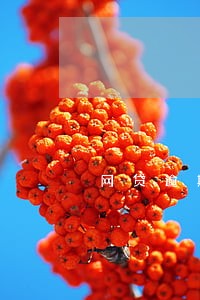 网贷逾期手机卡关了 网贷逾期手机卡关了