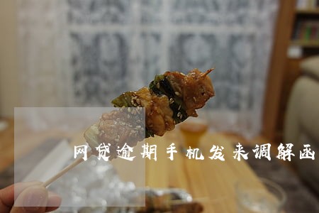 网贷逾期手机发来调解函是真的吗 网贷逾期手机发来调解函是真的吗