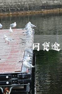 网贷逾期手机号会不会封号