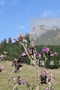 网贷逾期手机号停机6 网贷逾期手机号停机6