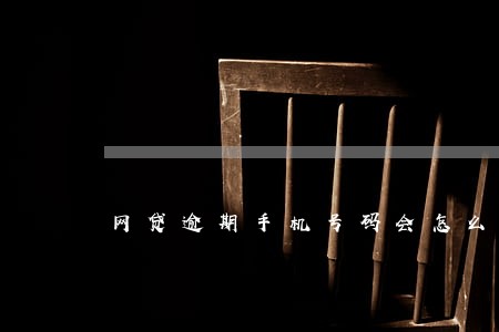 网贷逾期手机号码会怎么样 网贷逾期手机号码会怎么样