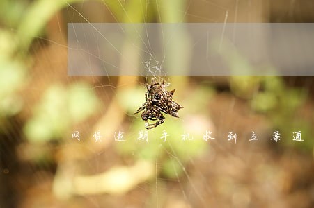 网贷逾期手机收到立案通知 网贷逾期手机收到立案通知