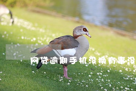 网贷逾期手机没换有事没 网贷逾期手机没换有事没