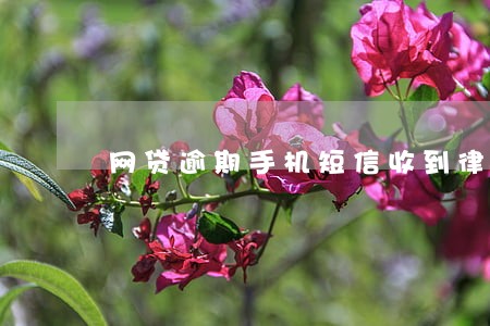 网贷逾期手机短信收到律师函