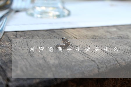 网贷逾期手机要关机么 网贷逾期手机要关机么