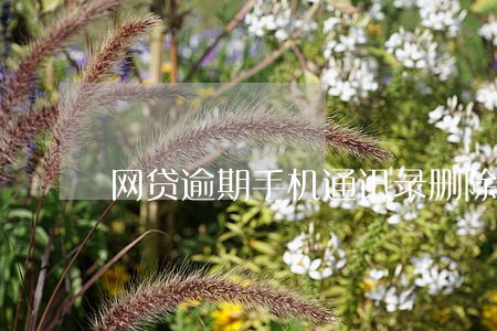 网贷逾期手机通讯录删除 网贷逾期手机通讯录删除