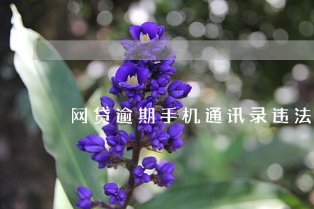 网贷逾期手机通讯录违法吗 网贷逾期手机通讯录违法吗