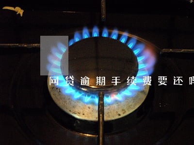 网贷逾期手续费要还吗 网贷逾期手续费要还吗