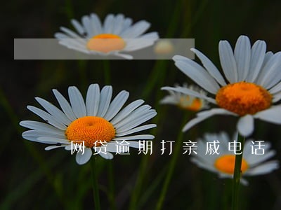 网贷逾期打亲戚电话 网贷逾期打亲戚电话