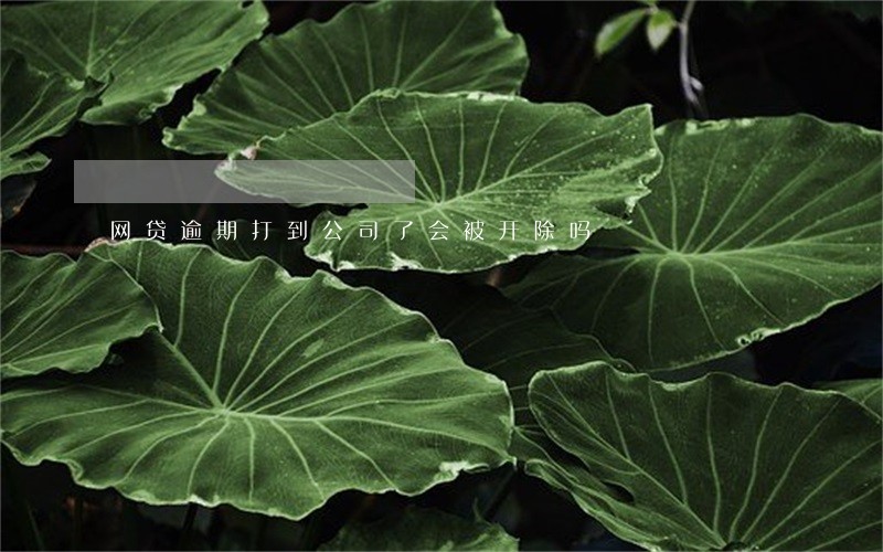 网贷逾期打到公司了会被开除吗 网贷逾期打到公司了会被开除吗