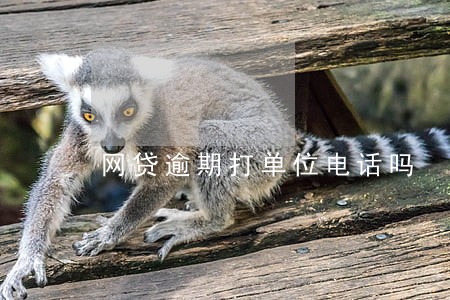 网贷逾期打单位电话吗 网贷逾期打单位电话吗
