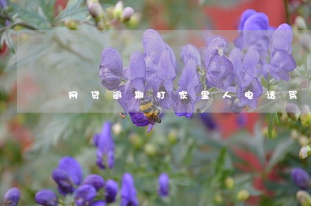 网贷逾期打家里人电话骂人 网贷逾期打家里人电话骂人