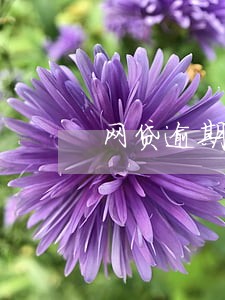 网贷逾期打我通讯录报警有用吗 网贷逾期打我通讯录报警有用吗
