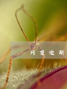 网贷逾期打我预留 网贷逾期打我预留